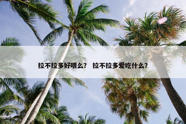 拉不拉多好喂么？ 拉不拉多爱吃什么？