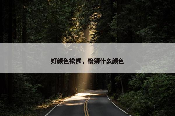 好颜色松狮，松狮什么颜色
