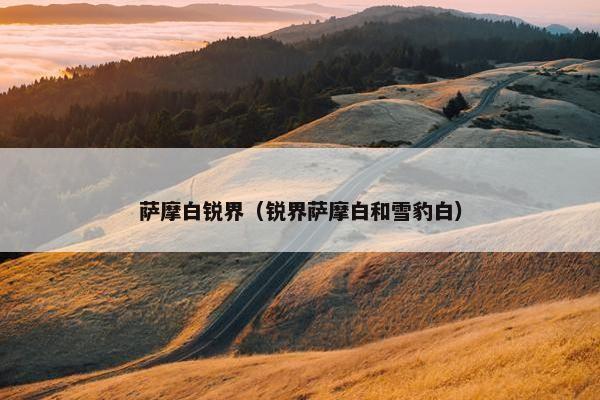 萨摩白锐界（锐界萨摩白和雪豹白）