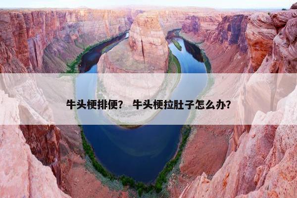 牛头梗排便？ 牛头梗拉肚子怎么办？