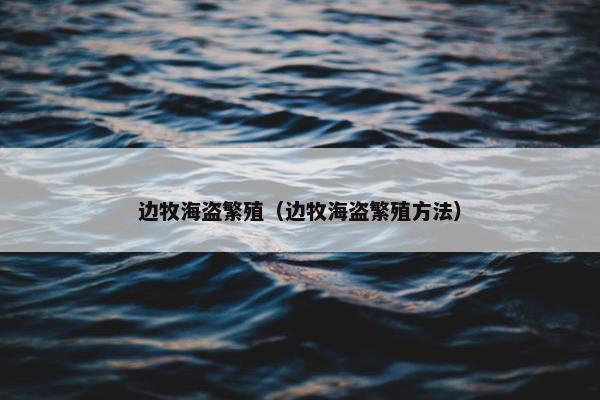 边牧海盗繁殖（边牧海盗繁殖方法）