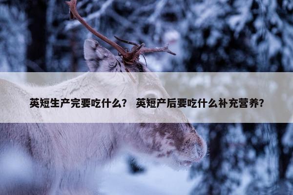 英短生产完要吃什么？ 英短产后要吃什么补充营养？