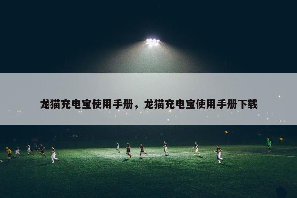 龙猫充电宝使用手册，龙猫充电宝使用手册下载
