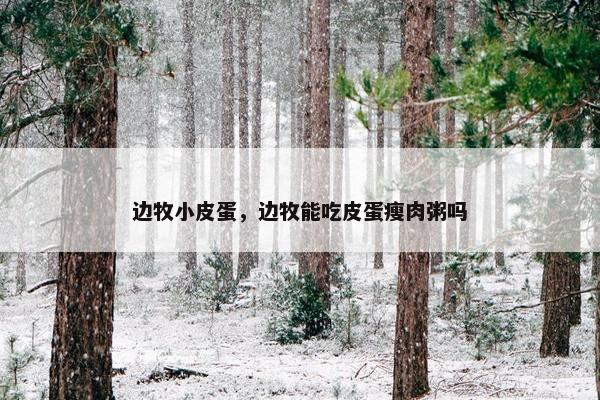 小雏