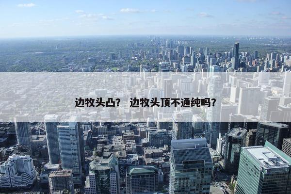 边牧头凸？ 边牧头顶不通纯吗？