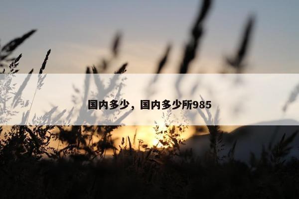 国内多少，国内多少所985