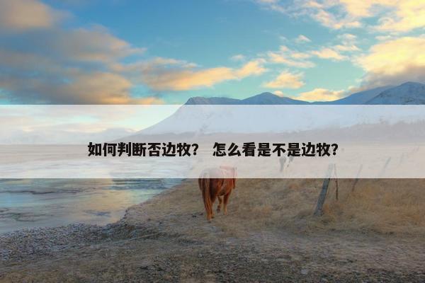 如何判断否边牧？ 怎么看是不是边牧？