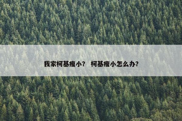 我家柯基瘦小？ 柯基瘦小怎么办？