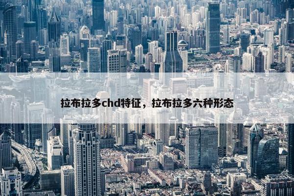 拉布拉多chd特征，拉布拉多六种形态