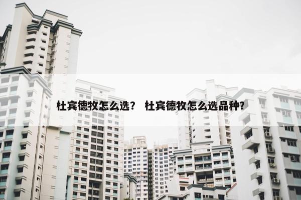 杜宾德牧怎么选？ 杜宾德牧怎么选品种？