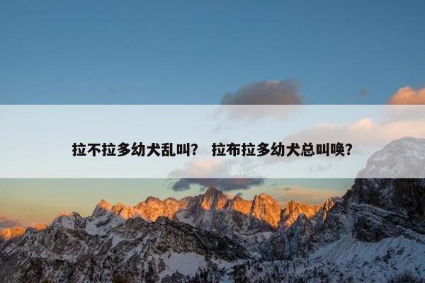 拉不拉多幼犬乱叫？ 拉布拉多幼犬总叫唤？