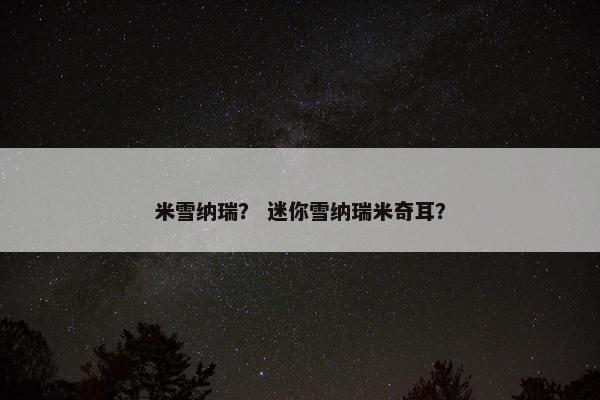 米雪纳瑞？ 迷你雪纳瑞米奇耳？
