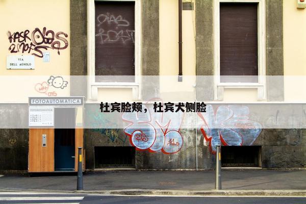 杜宾脸颊，杜宾犬侧脸