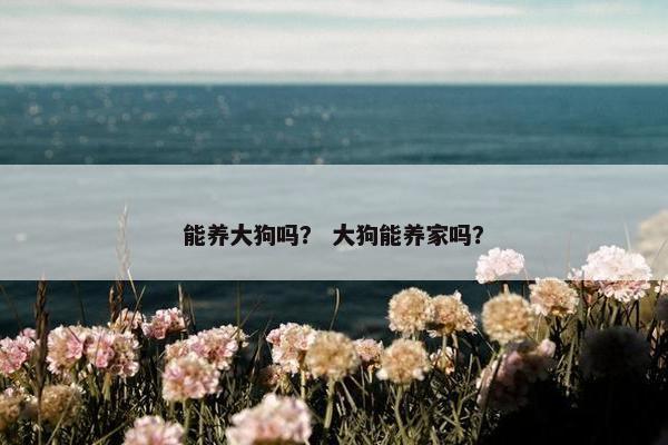 能养大狗吗？ 大狗能养家吗？
