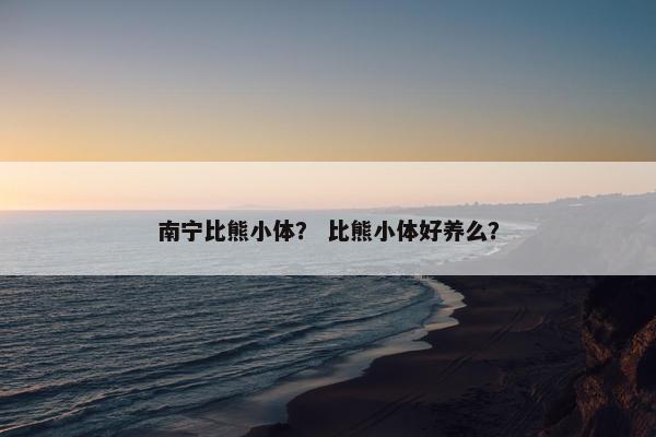 南宁比熊小体？ 比熊小体好养么？