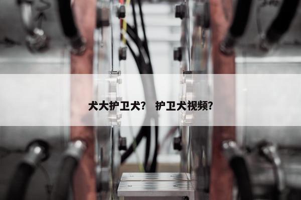 犬大护卫犬？ 护卫犬视频？