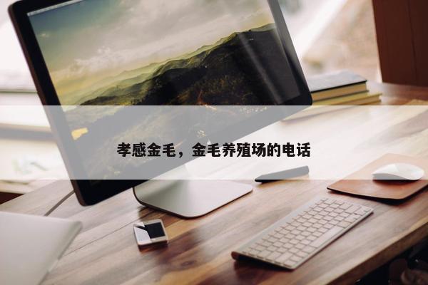 孝感金毛，金毛养殖场的电话