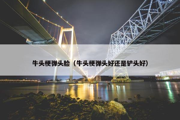 牛头梗 第3页