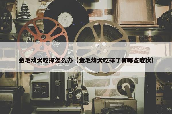 消化