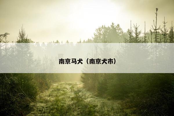 南京马犬（南京犬市）