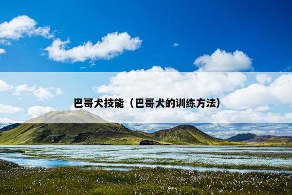 巴哥犬技能（巴哥犬的训练方法）