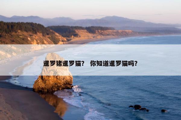 可以 第4页