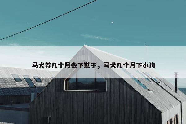 马犬养几个月会下崽子，马犬几个月下小狗