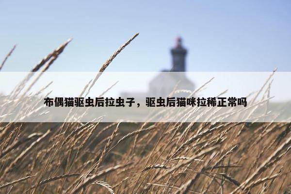布偶猫驱虫后拉虫子，驱虫后猫咪拉稀正常吗