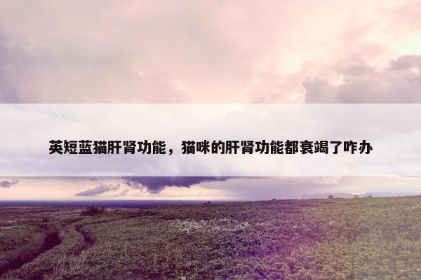 英短蓝猫肝肾功能，猫咪的肝肾功能都衰竭了咋办