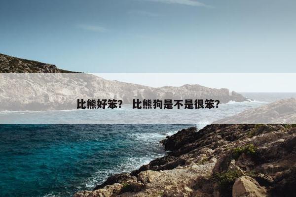 比熊好笨？ 比熊狗是不是很笨？
