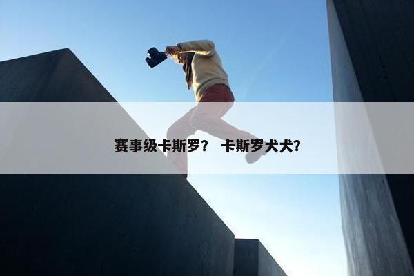 赛事级卡斯罗？ 卡斯罗犬犬？