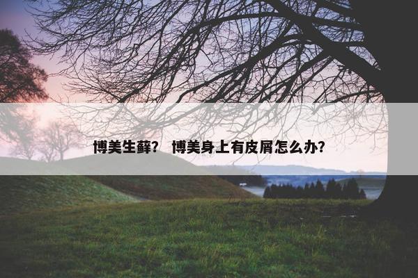 博美生藓？ 博美身上有皮屑怎么办？
