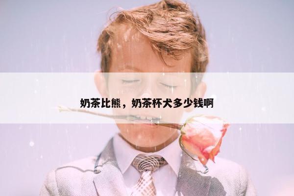 奶茶比熊，奶茶杯犬多少钱啊