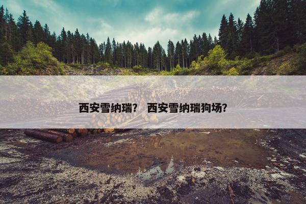 西安雪纳瑞？ 西安雪纳瑞狗场？