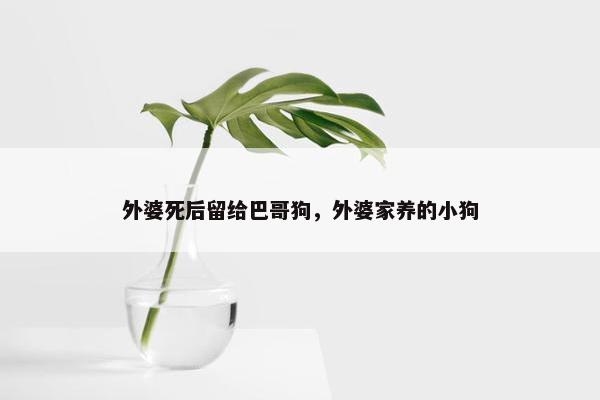 外婆死后留给巴哥狗，外婆家养的小狗