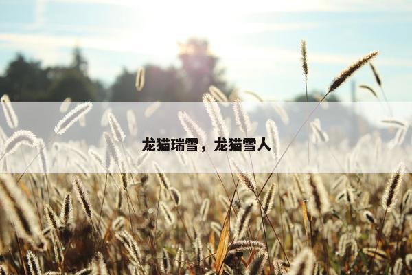 龙猫瑞雪，龙猫雪人