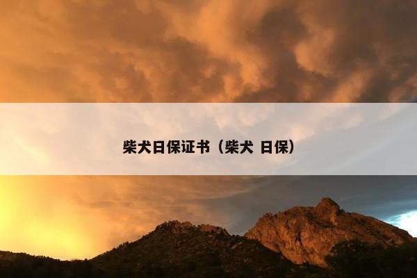 柴犬日保证书（柴犬 日保）