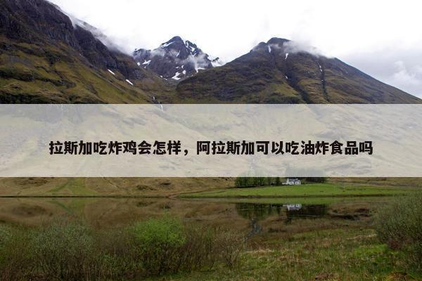 拉斯加吃炸鸡会怎样，阿拉斯加可以吃油炸食品吗