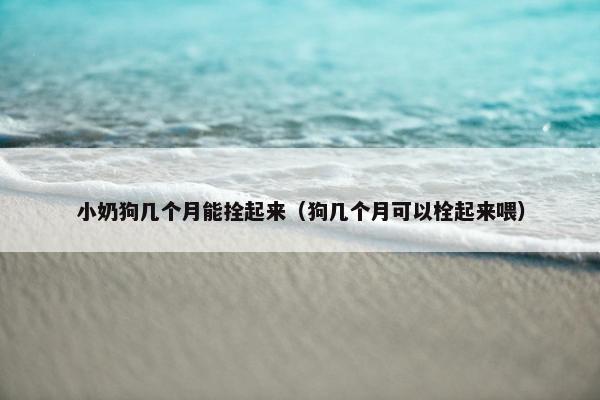 小奶狗几个月能拴起来（狗几个月可以栓起来喂）
