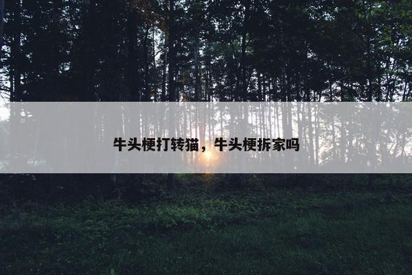 牛头梗打转猫，牛头梗拆家吗