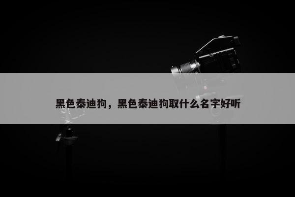 黑色泰迪狗，黑色泰迪狗取什么名字好听