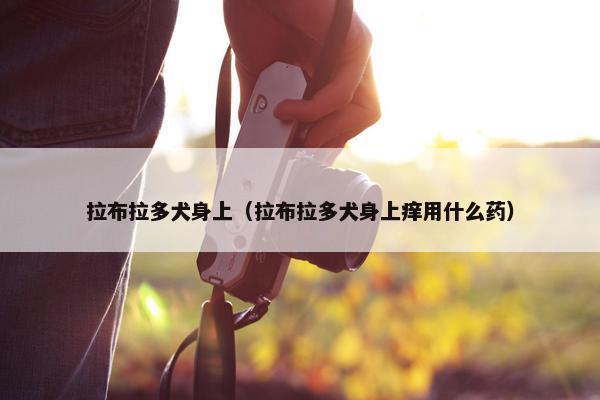 拉布拉多犬身上（拉布拉多犬身上痒用什么药）