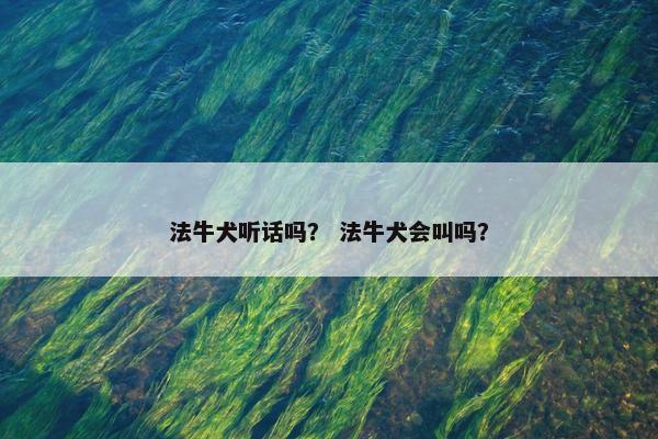 法牛犬听话吗？ 法牛犬会叫吗？