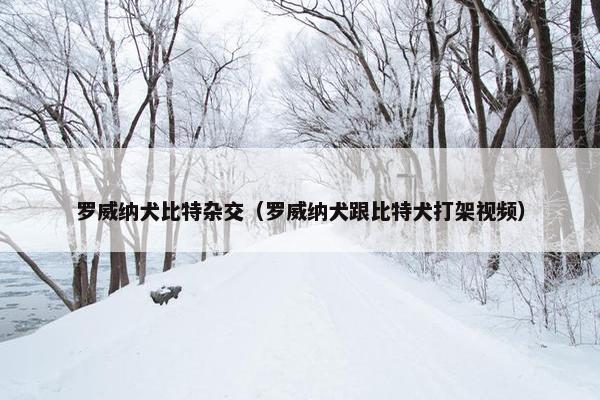 罗威纳犬比特杂交（罗威纳犬跟比特犬打架视频）