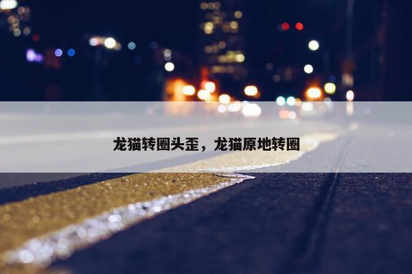 龙猫转圈头歪，龙猫原地转圈