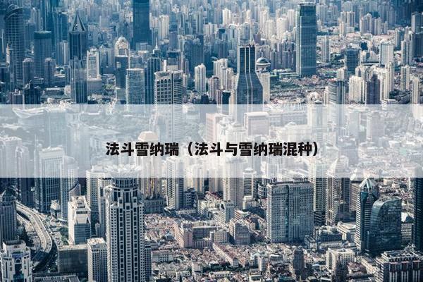法斗雪纳瑞（法斗与雪纳瑞混种）