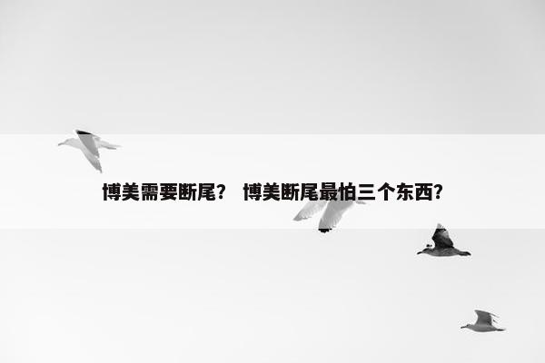 博美 第3页