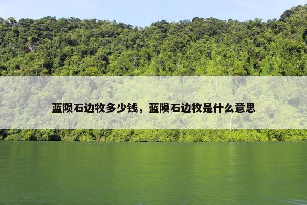 蓝陨石边牧多少钱，蓝陨石边牧是什么意思