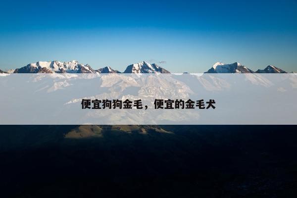 便宜狗狗金毛，便宜的金毛犬