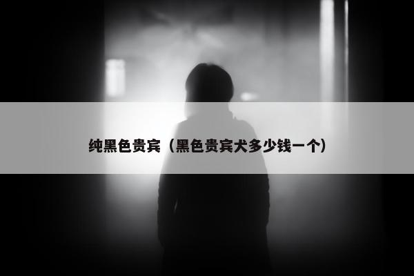 纯黑色贵宾（黑色贵宾犬多少钱一个）